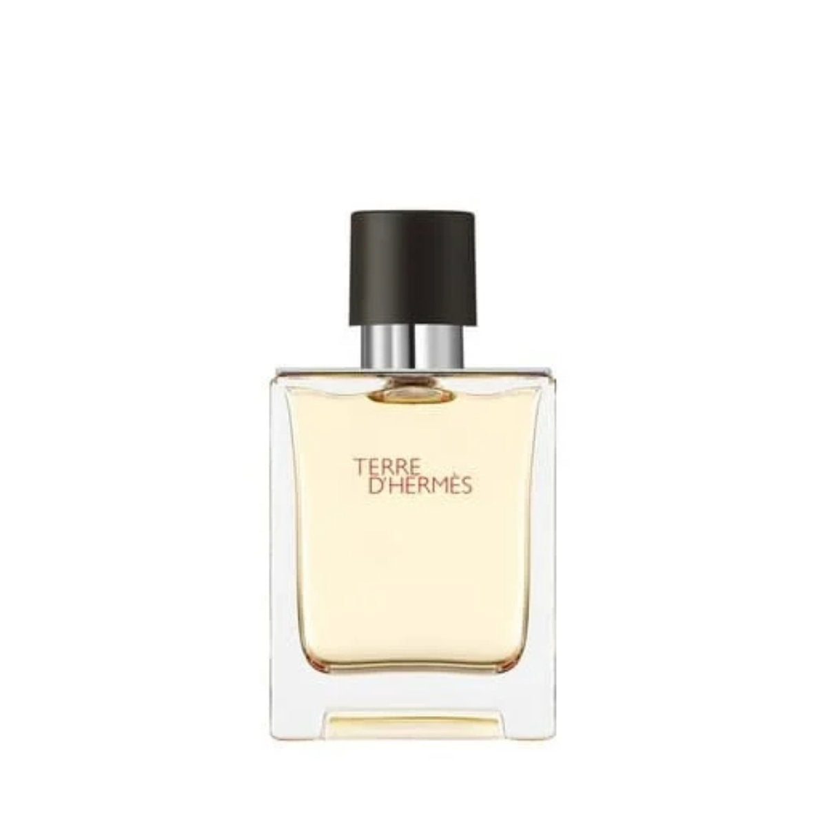 Hermès Terre d'Hermès Eau de Toilette pentru bărbați, parfum original