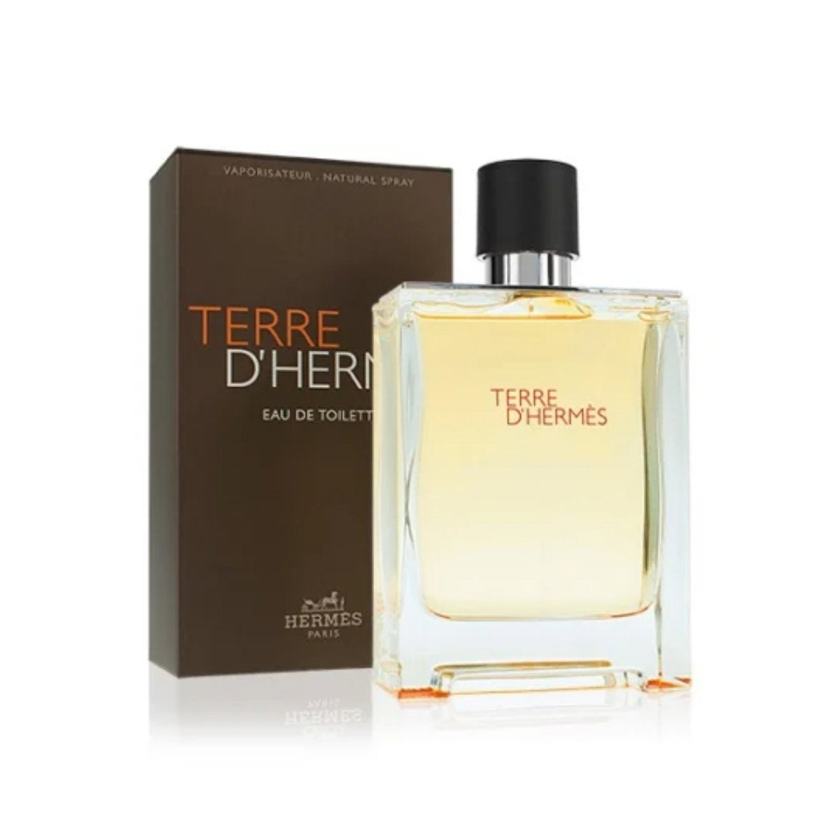 Hermès Terre d'Hermès Eau de Toilette pentru bărbați – imagine 2
